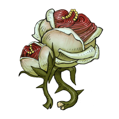 Hymn Rose