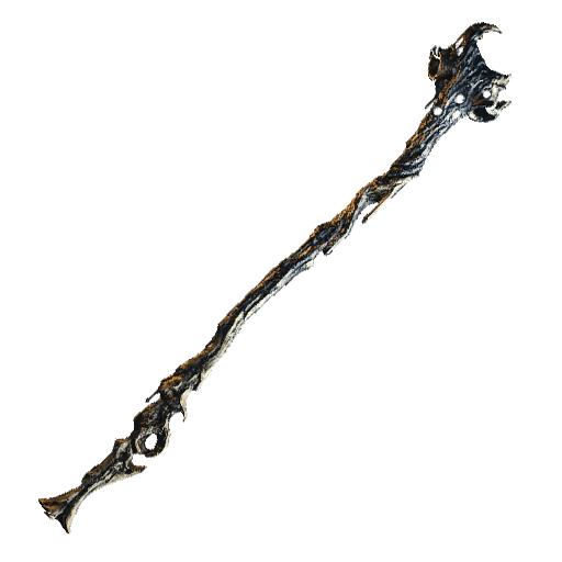 The Erstroot